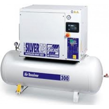 Compresor cu surub Fiac NEW SILVER 5,5/300